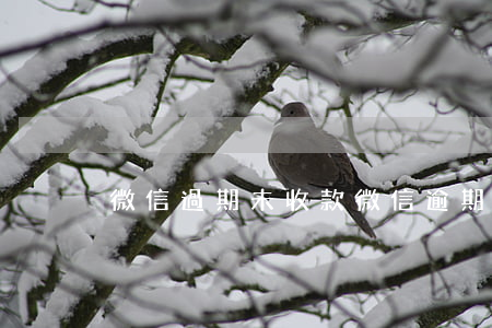 微信過期未收款（微信逾期未到賬）