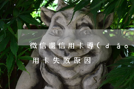 微信還信用卡導(dǎo)致逾期(微信還信用卡失敗原因)