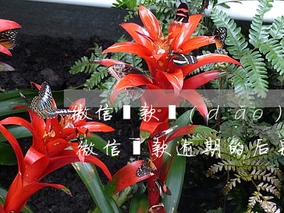 微信還款導(dǎo)致逾期會怎么樣，警惕！微信還款逾期的后果嚴(yán)重，你必須知道