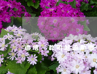 微信還款引起逾期 微信微粒貸可以逾期還款嗎