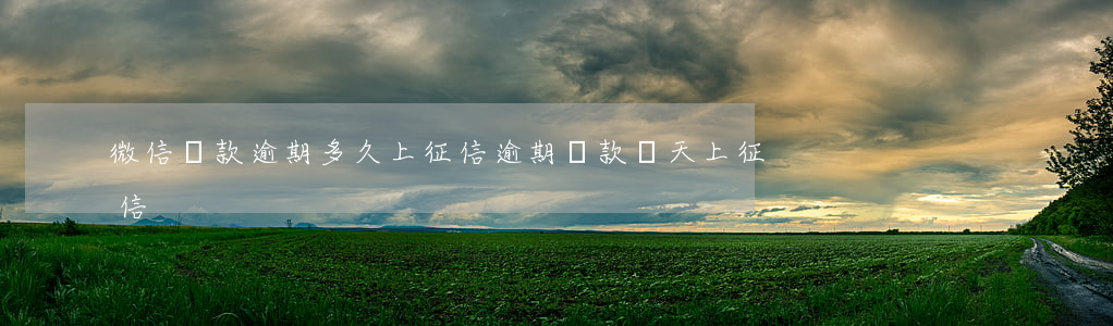 微信還款逾期多久上征信(逾期還款幾天上征信)