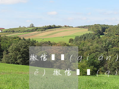 微信還錢(qián)起訴狀怎么寫(xiě)(微信還錢(qián)起訴狀怎么寫(xiě))