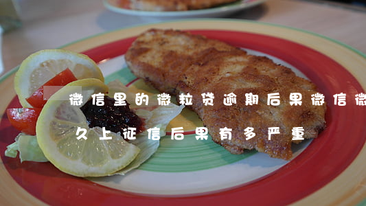微信里的微粒贷逾期后果(微信微粒贷逾期多久上征信?后果有多严重)