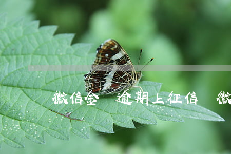 微信金條逾期上征信嗎(微信金條逾期上征信嗎)