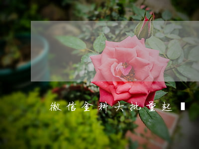 微信金科大批量起訴