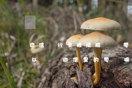 微信銀行卡被法院凍結零錢可以用嗎(銀行可以凍結微信里的零錢嘛)
