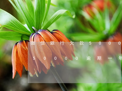 微信銀行欠款5000逾期一年多(銀行貸款50000逾期一年了,會怎么樣?)