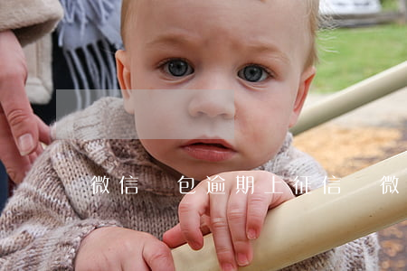 微信錢包逾期上征信嗎(微信逾期幾天上征信)