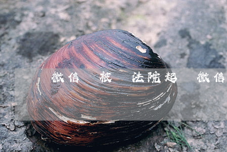 微信錢被盜法院起訴(微信錢款被盜能否理賠)