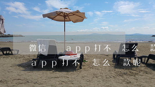 微信閃貸app打不開怎么還款-微信閃貸app打不開怎么還款呢