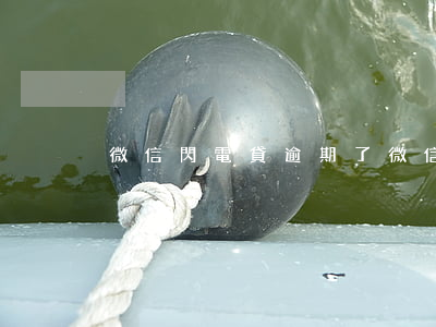 微信閃電貸逾期了(微信閃電貸逾期了)