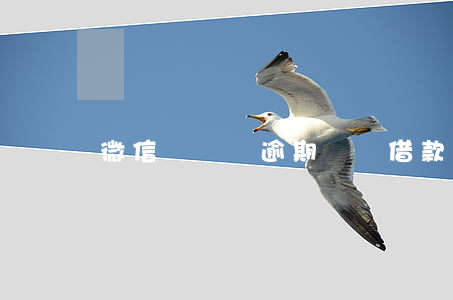 微信閃電貸逾期(閃電借款微貸)