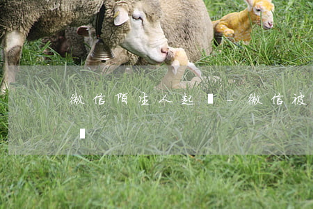 微信陌生人起訴-微信被陌生人騷擾能立案嗎