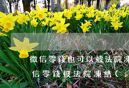 微信零錢也可以被法院凍結(jié)嗎(微信零錢被法院凍結(jié)以后為什么還可以用)