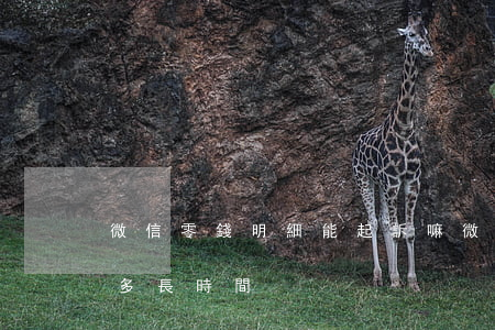 微信零錢明細能起訴嘛 微信零錢明細能記錄多長時間