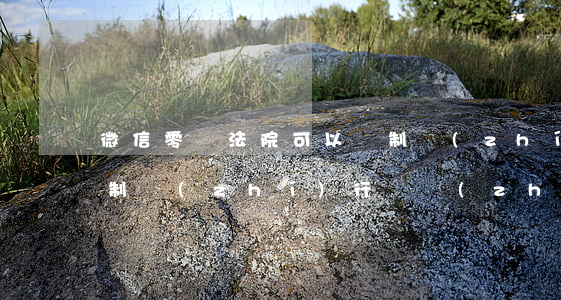 微信零錢法院可以強制執(zhí)行嗎(強制執(zhí)行會執(zhí)行微信的零錢嗎)