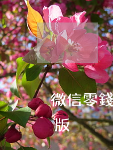 微信零錢生成器蘋果版(微信零錢生成器安卓版)