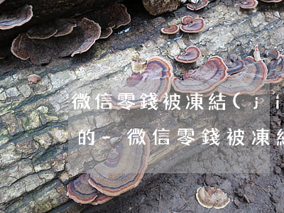 微信零錢被凍結(jié)如何查看誰起訴的-微信零錢被凍結(jié)如何查看誰起訴的呢