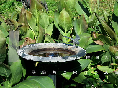 微信零錢通法院可以凍結(jié)嗎(微信零錢被法院司法凍結(jié))