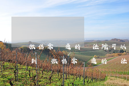 微信零錢通的錢法院可以調(diào)查到嗎(微信零錢通的錢法院能凍結(jié)嗎)