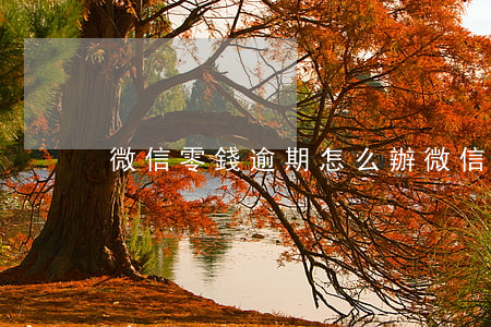 微信零錢逾期怎么辦(微信零錢超支怎么辦)