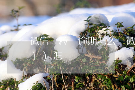 微信顆粒貸逾期怎么辦(微粒貸逾期會(huì)怎樣?)