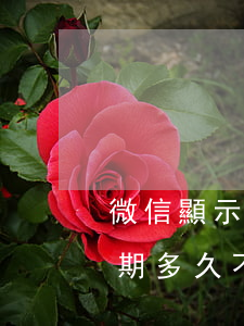 微信顯示逾期支付不了怎么辦呢(微信分付逾期多久不能使用)