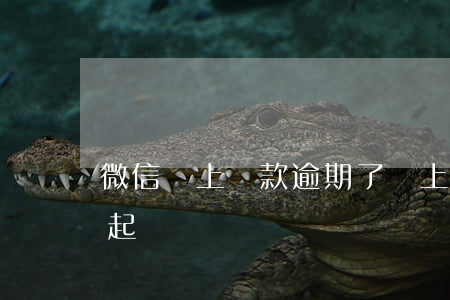 微信馬上貸款逾期了(馬上金融貸款逾期了會起訴嗎?)