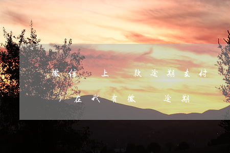 微信馬上貸款逾期(支付寶怎么現(xiàn)在我有微貸逾期)