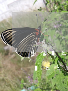 微信馬上貸逾期上征信 逾期了會(huì)馬上上征信嗎