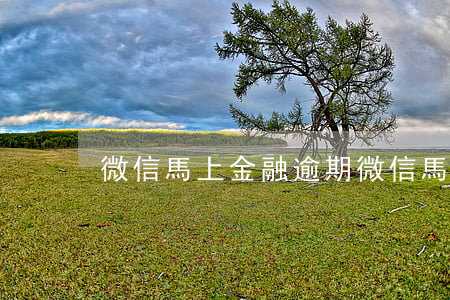 微信馬上金融逾期(微信馬上金融逾期)