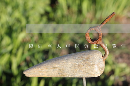 微信骂人可以诉讼吗(微信上骂人可以立案么)