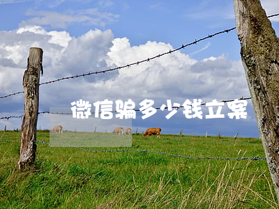 微信骗多少钱立案