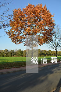 微信骚扰可以报案吗（微信骚扰可以起诉吗）