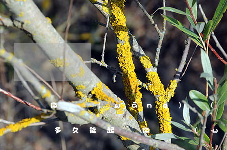 微儉網(wǎng)絡(luò)借款逾期多久能起訴 微儉網(wǎng)絡(luò)借款逾期多久能起訴