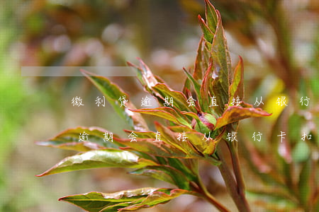 微利贷逾期会直接从银行卡扣钱吗-微利贷逾期会直接从银行卡扣钱吗安全吗