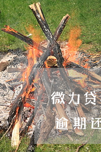 微力贷和支付宝都逾期了先还哪个-支付宝逾期还完了多久可以在别的平台贷款