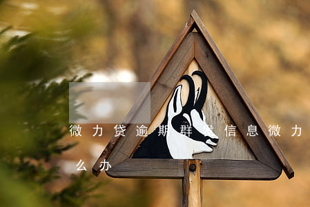 微力贷逾期群发信息 微力贷逾期群发信息怎么办
