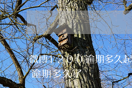 微博1200逾期多久起诉-请问你们微博逾期多久了