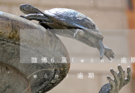 微博6萬(wàn)逾期-微博借了5萬(wàn)逾期