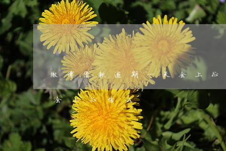 微博借款逾期一天会上征信吗（微博欠钱逾期会上征信么）