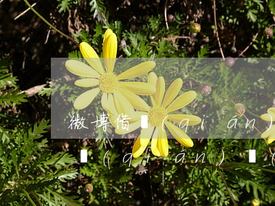 微博借錢(qián)有被起訴的嗎(微博借錢(qián)會(huì)不會(huì)上法庭)
