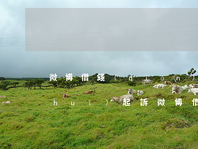 微博借錢(qián)沒(méi)還會(huì)起訴 微博借錢(qián)起訴我