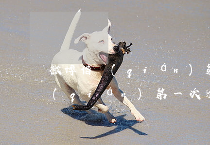 微博借錢(qián)第一次逾期 微博借錢(qián)第一次逾期110塊錢(qián)會(huì)被催收嗎
