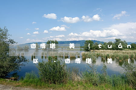 微博借錢美團(tuán)借錢逾期不管可以嗎-微博借錢美團(tuán)借錢逾期不管可以嗎安全嗎