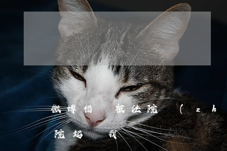 微博借錢被法院執(zhí)行 微博借錢法院起訴我