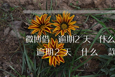 微博借錢逾期2天為什么還款失敗-微博借錢逾期2天為什么還款失敗了