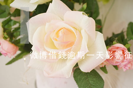 微博借錢逾期一天影響征信嗎