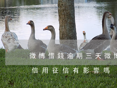 微博借錢逾期三天(微博借錢逾期三天還款對信用征信有影響嗎)