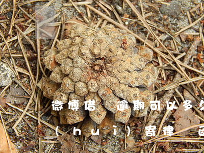 微博借錢逾期可以多久(微博借錢逾期多久會(huì)寄律師函到戶籍地)